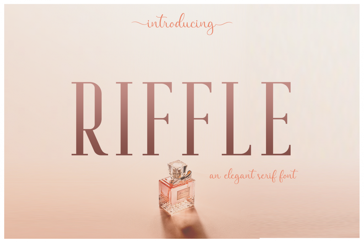 Riffle Font Family example image 1