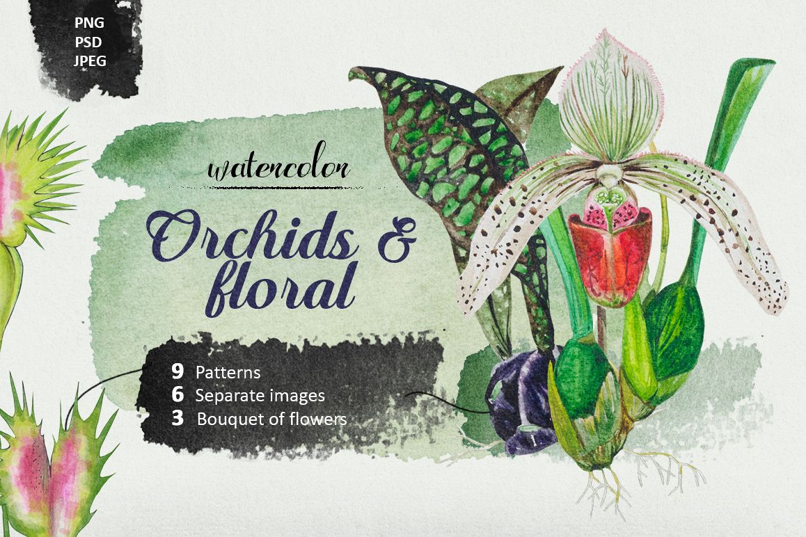 Orchids & Floral example image 1