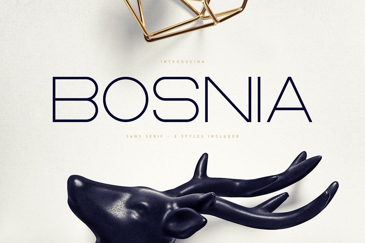 Bosnia - Sans Serif font | 2 styles example image 1