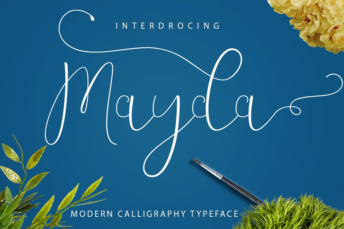 Mayda example image 1
