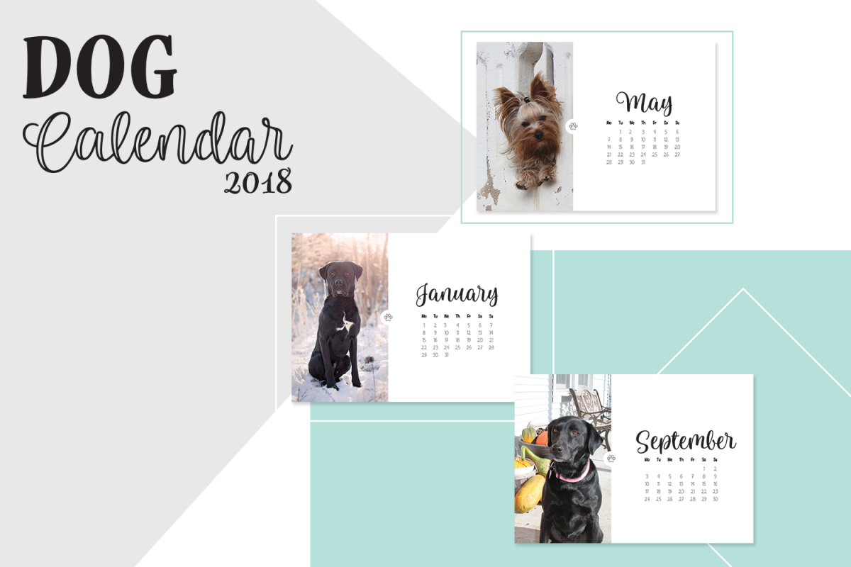 Dog Calendar 2018 example image 1