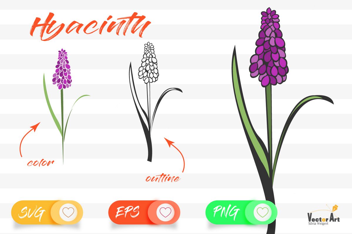 Hyacinth - Cut File with 2 Layers example image 1