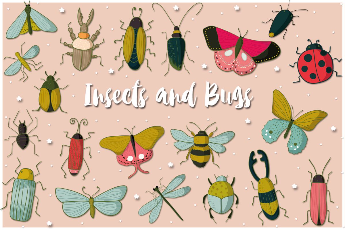 Insects and Bugs example image 1