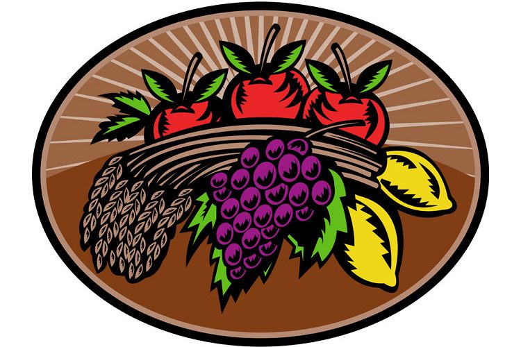 grapes apple lemon wheat bundle woodcut example image 1