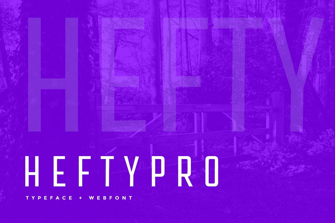 Hefty Pro Display Typeface WebFont example image 1