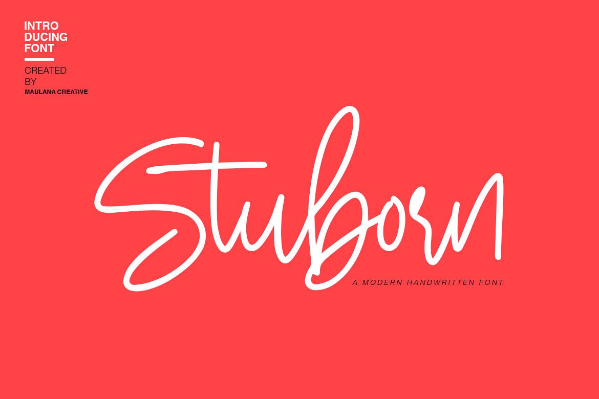 Stuborn - Modern Handwritten Font example image 1