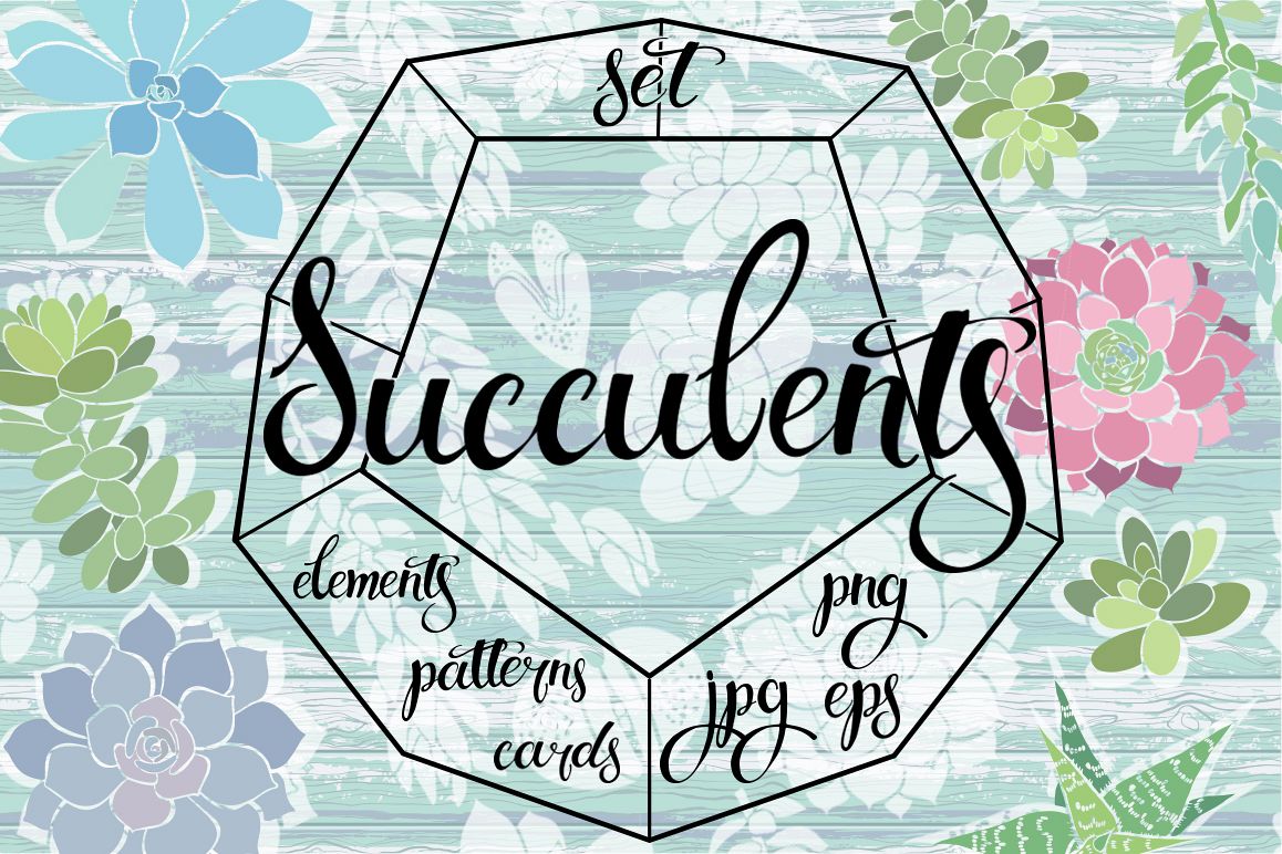 Succulents. example image 1