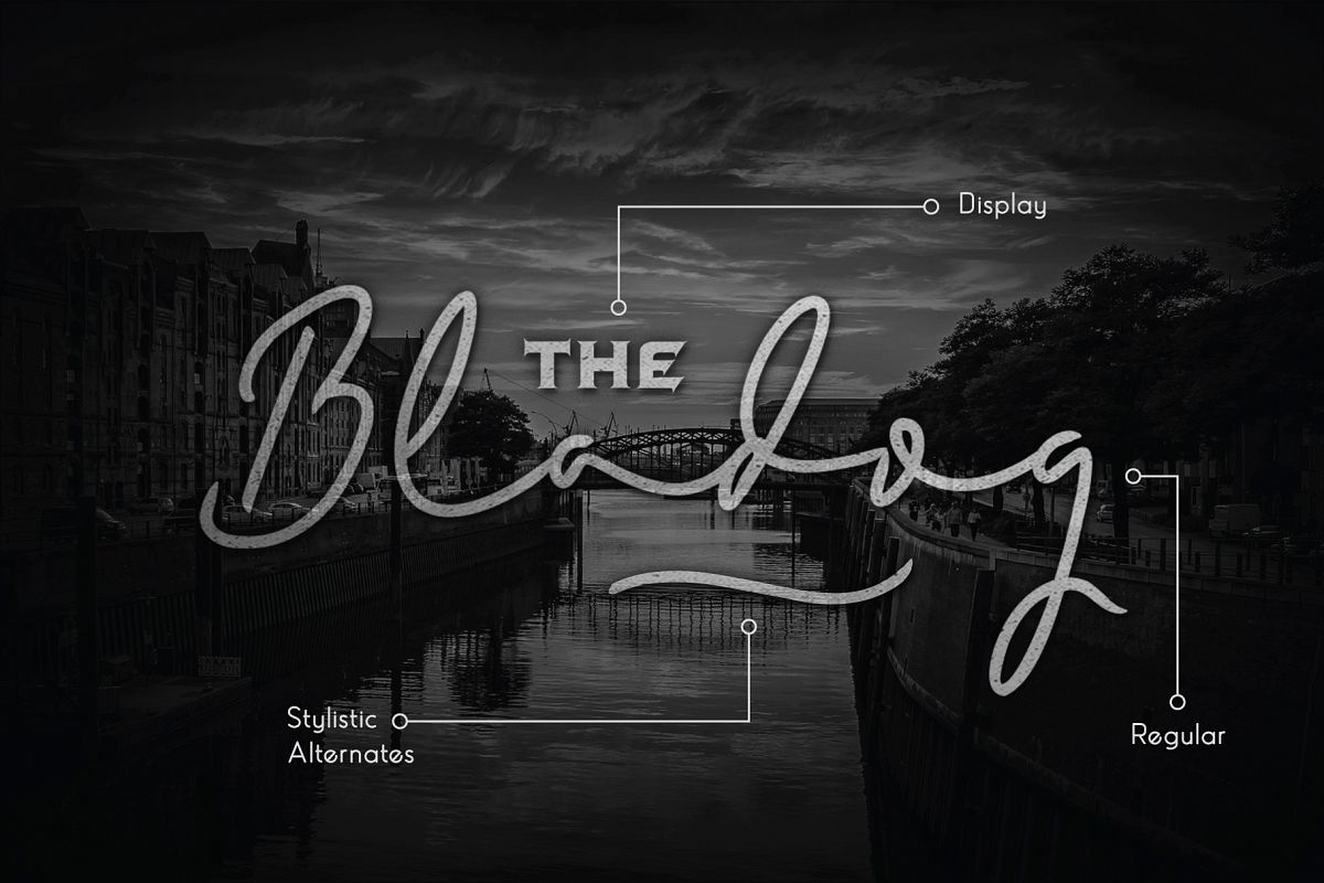 Bladog Script & Display Font Duo example image 1