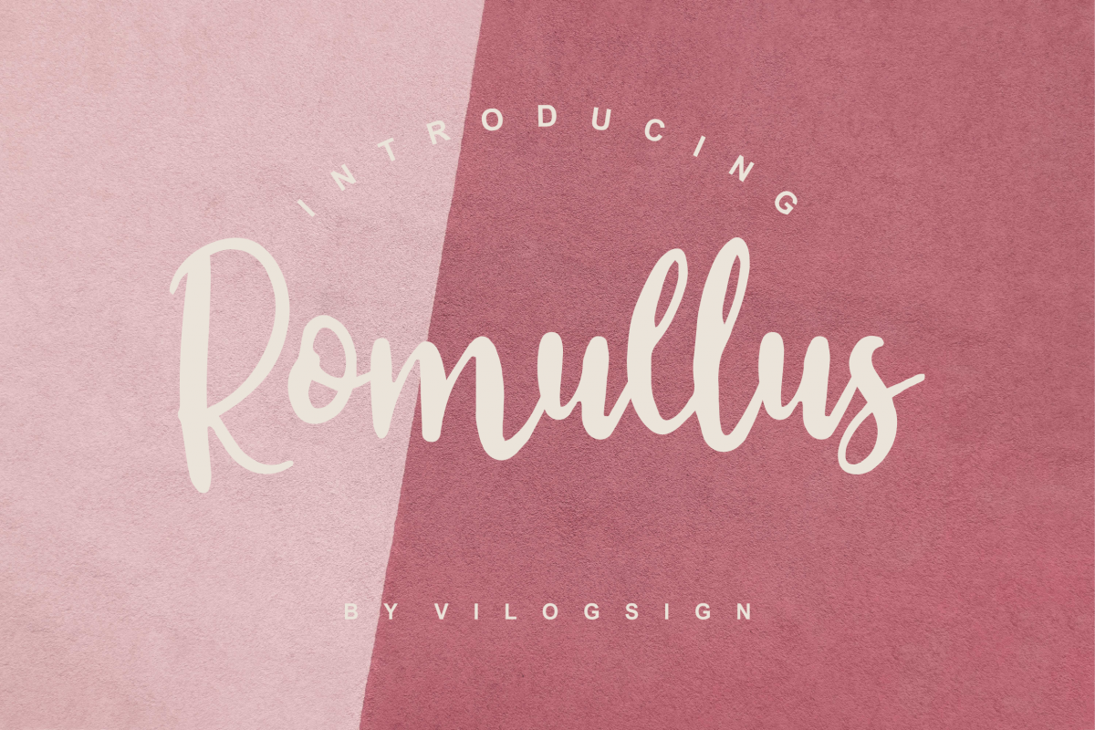 Romullus // Playful Script Font example image 1