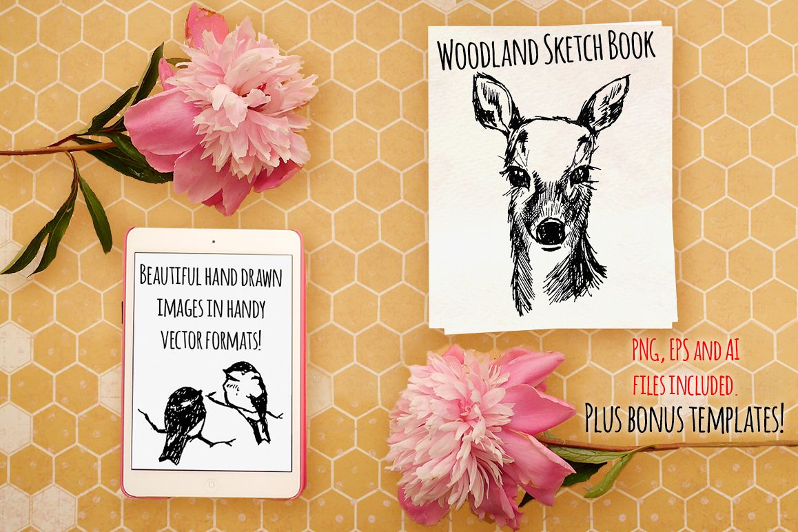 Woodland Animal Sketch Vector Bundle example image 1