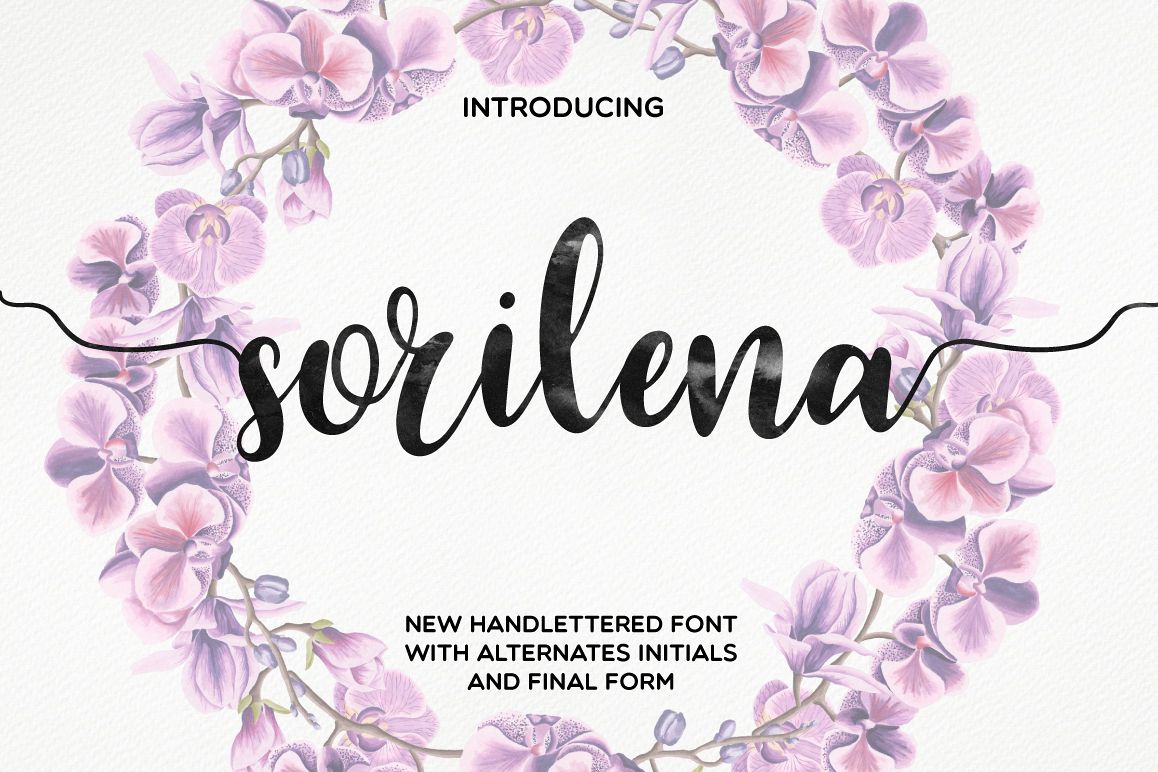 Sorilena Script example image 1