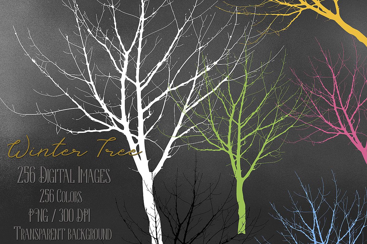 256 Winter Tree Branch Silhouette Wedding PNG Digital Images example image 1