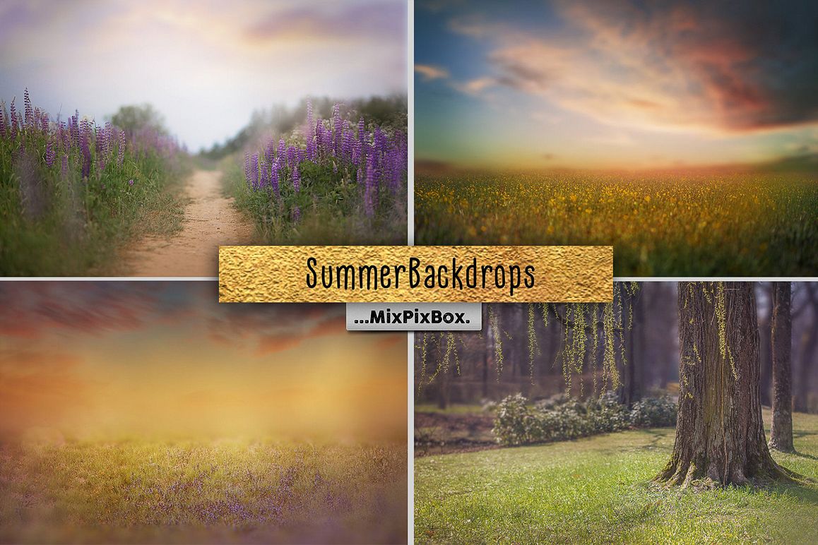 Summer backdrops example image 1