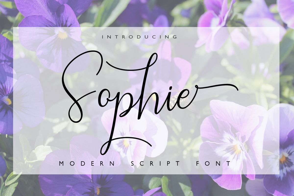Sophie example image 1