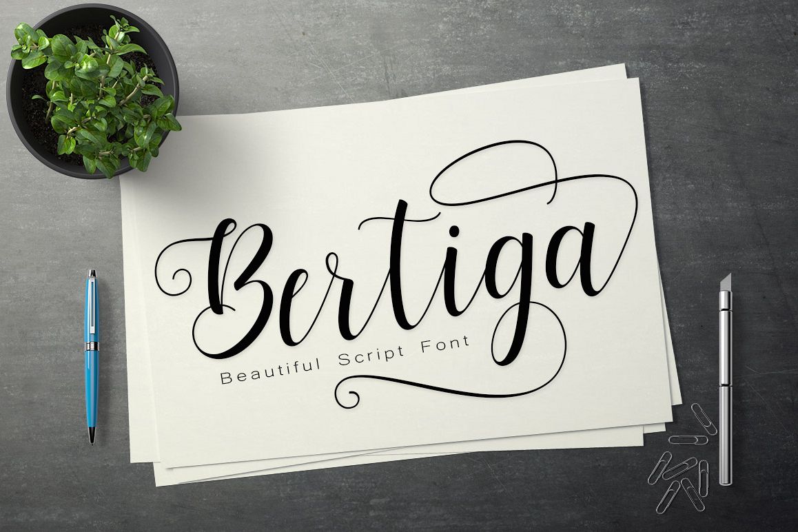 Bertiga example image 1