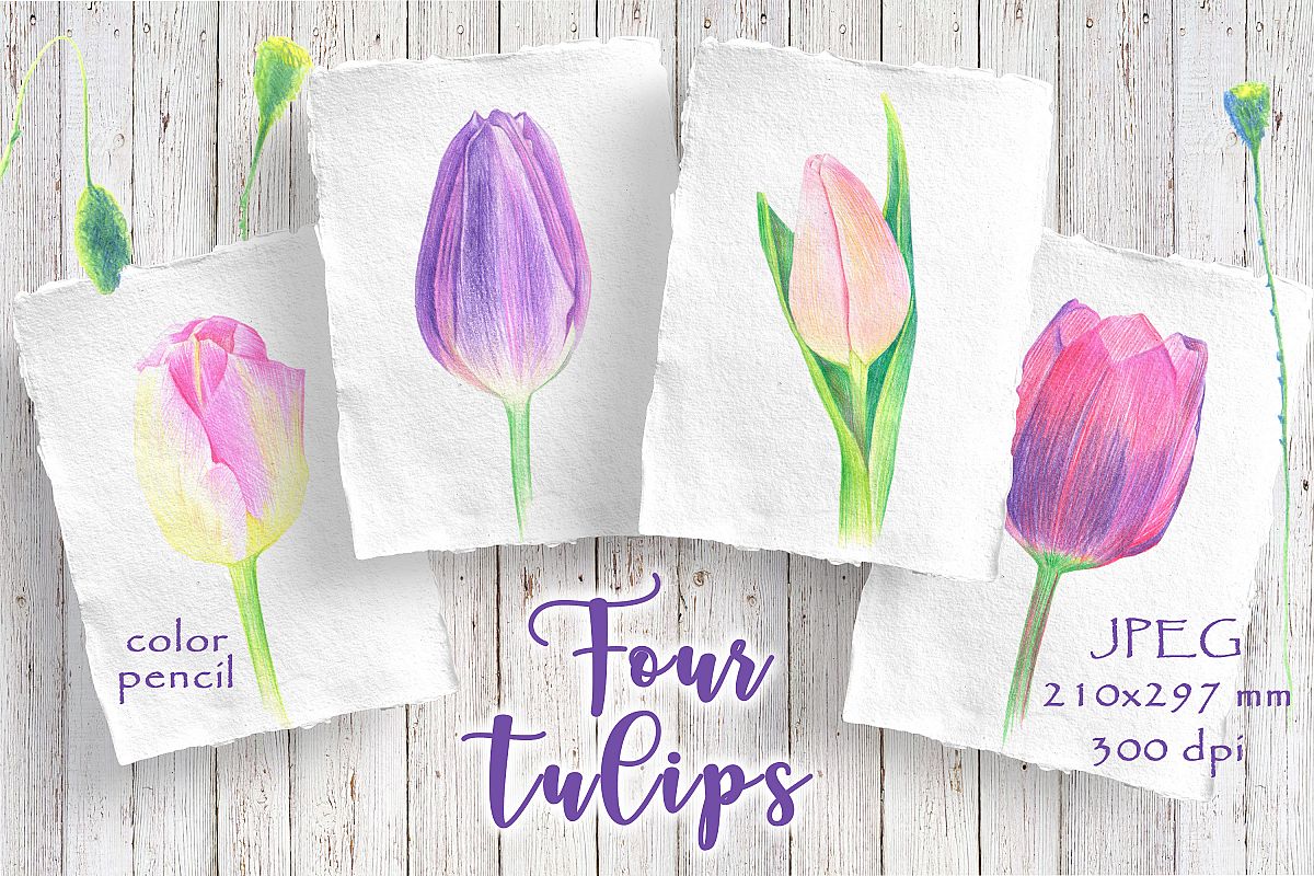 Four tulips example image 1