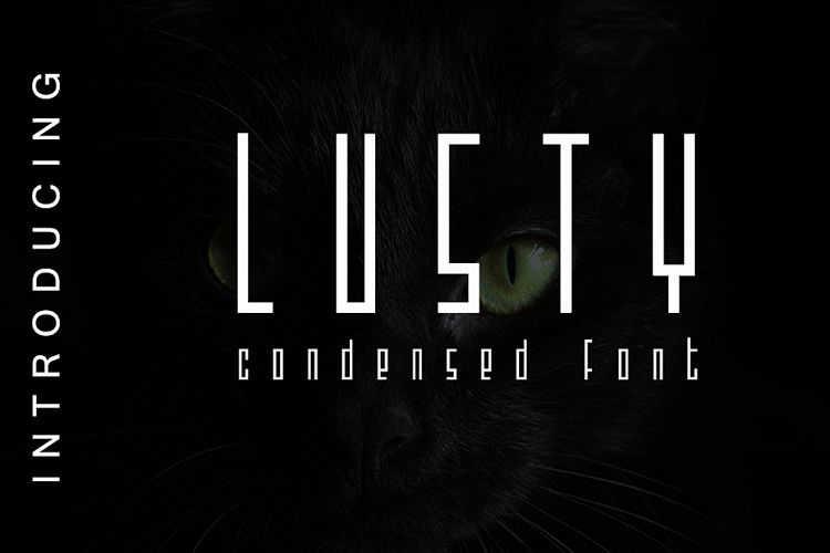 Lusty - Assertive Font example image 1