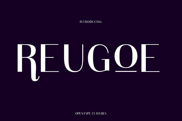 REUGOE example image 1