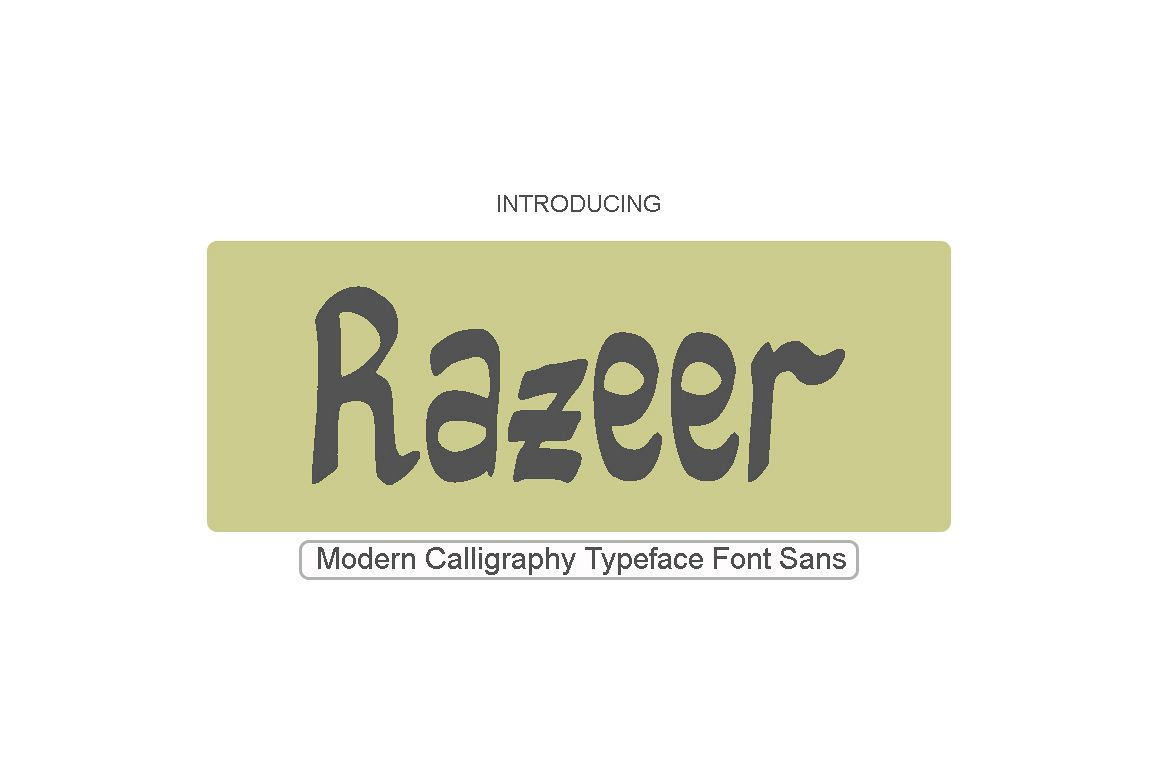 Razeer Sans example image 1