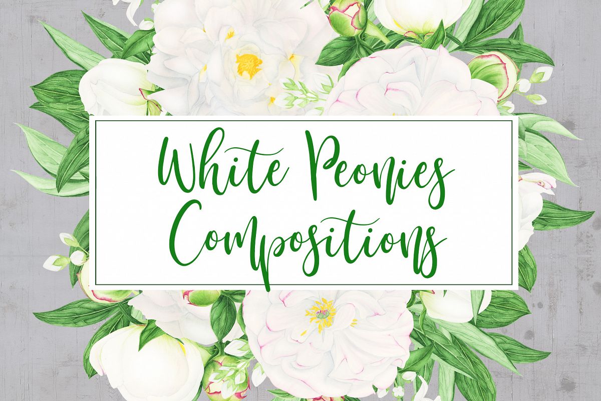 Watercolor Peonies Compositions example image 1