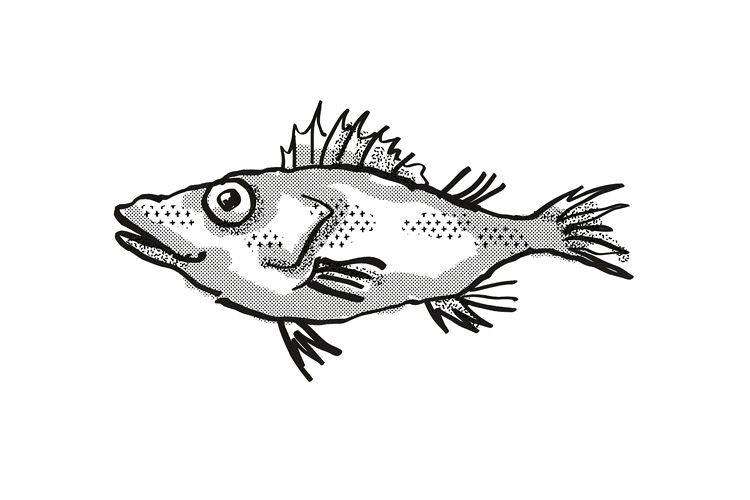 Longsnout No-line Scorpionfish Australian Fish Cartoon Retro example image 1