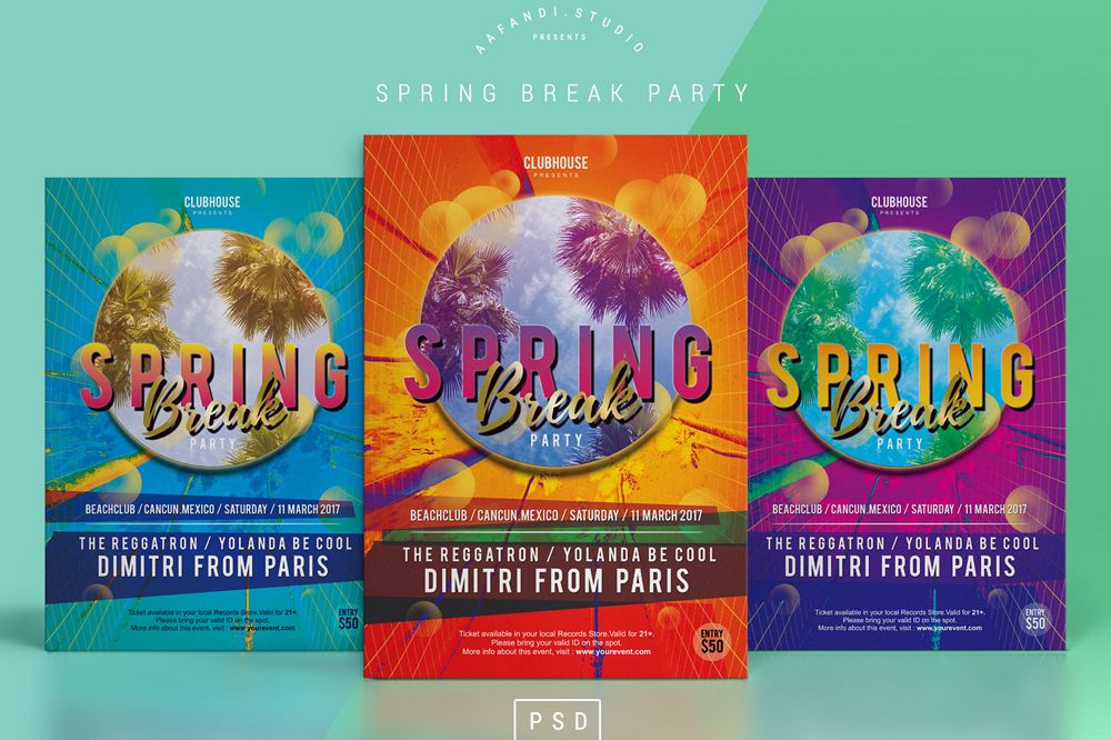 Spring Break Party Flyer example image 1