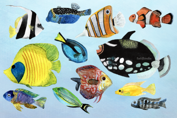 12 Watecolor Tropical Fish Clip Art example image 1