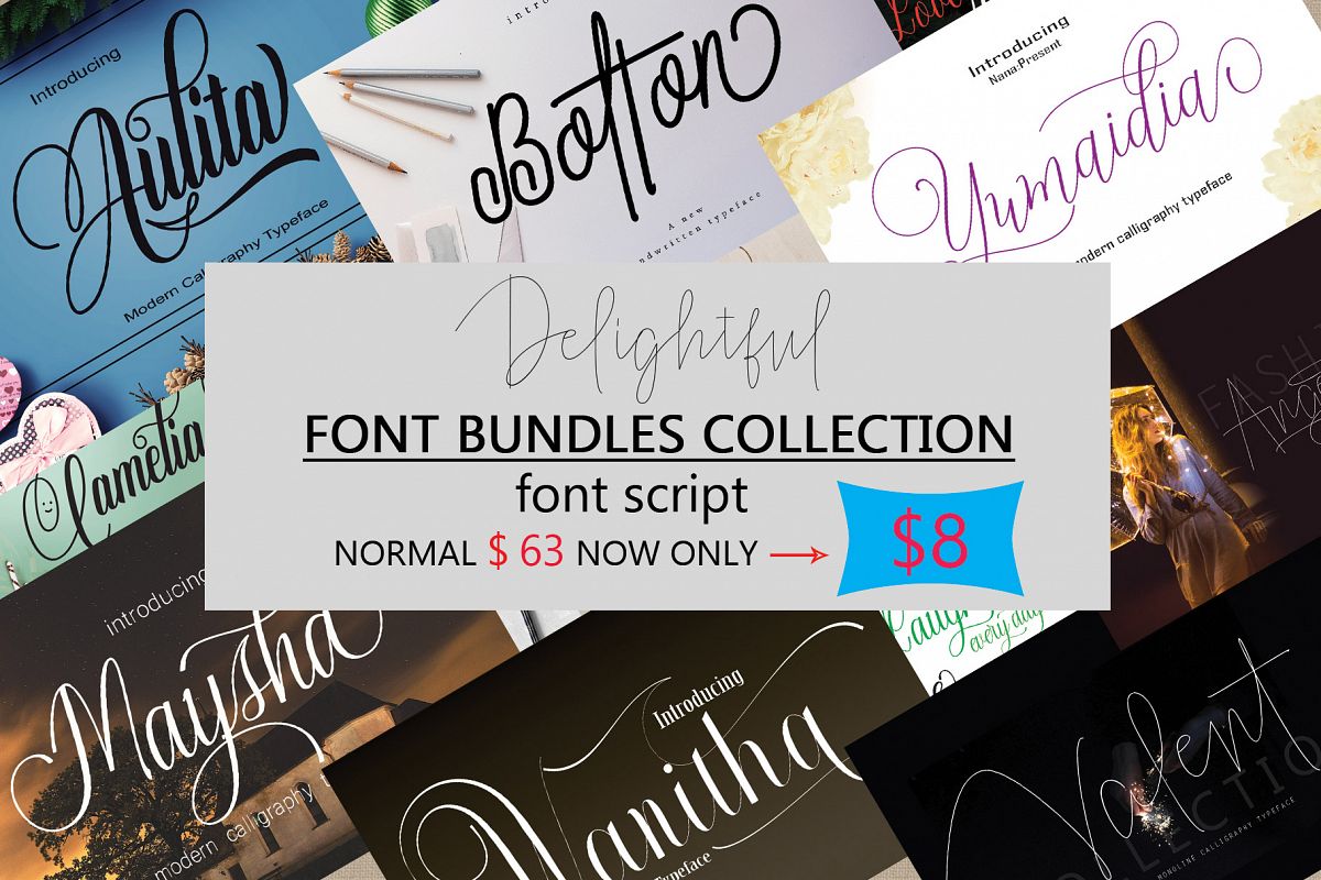 DELIGHTFUL FONT BUNDLES COLLECTION example image 1