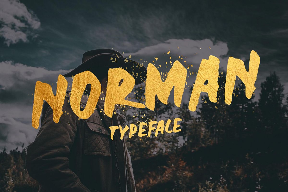 Norman Display Font example image 1