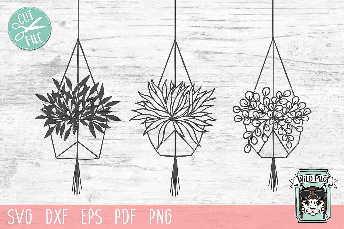 Hanging Plants SVG files, Plants cut files, Planters, Garden example image 1
