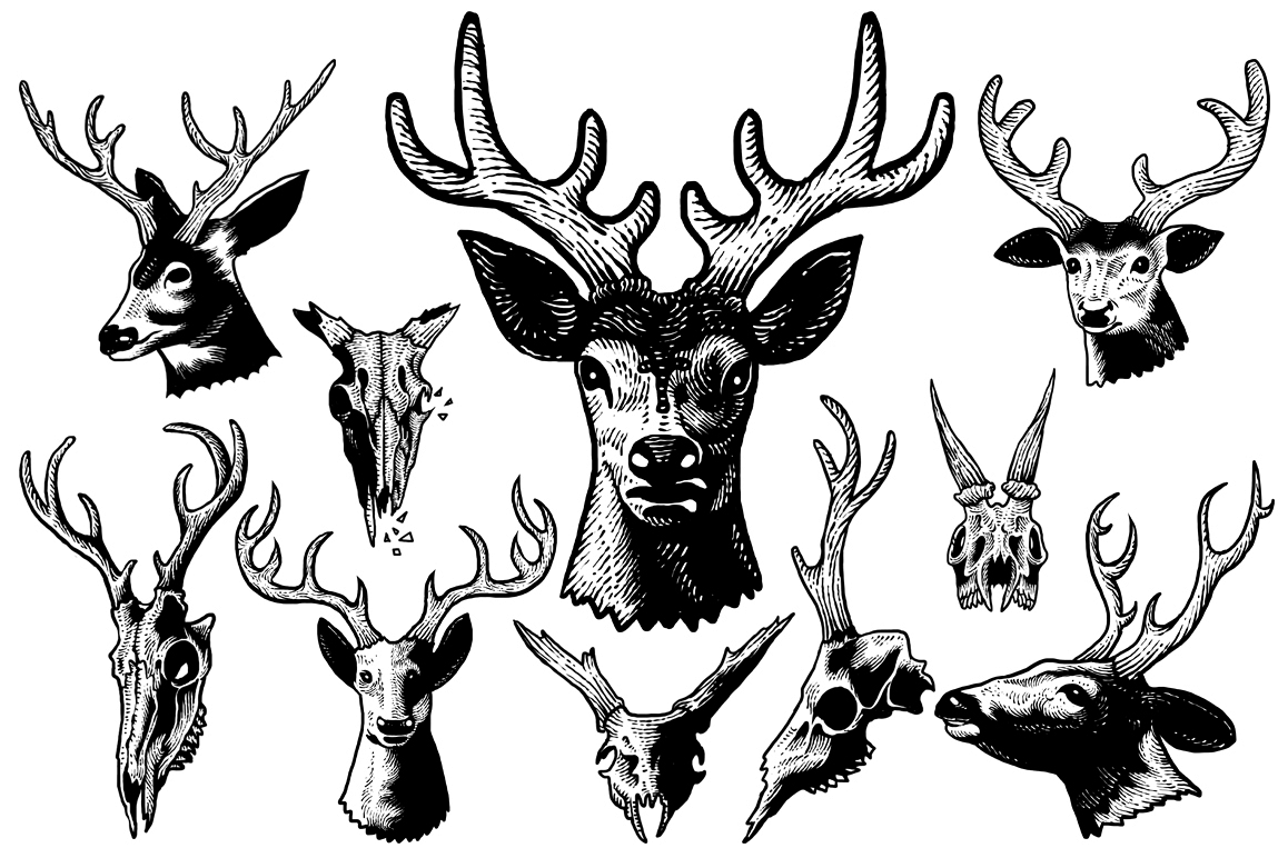 Deer head art example image 1