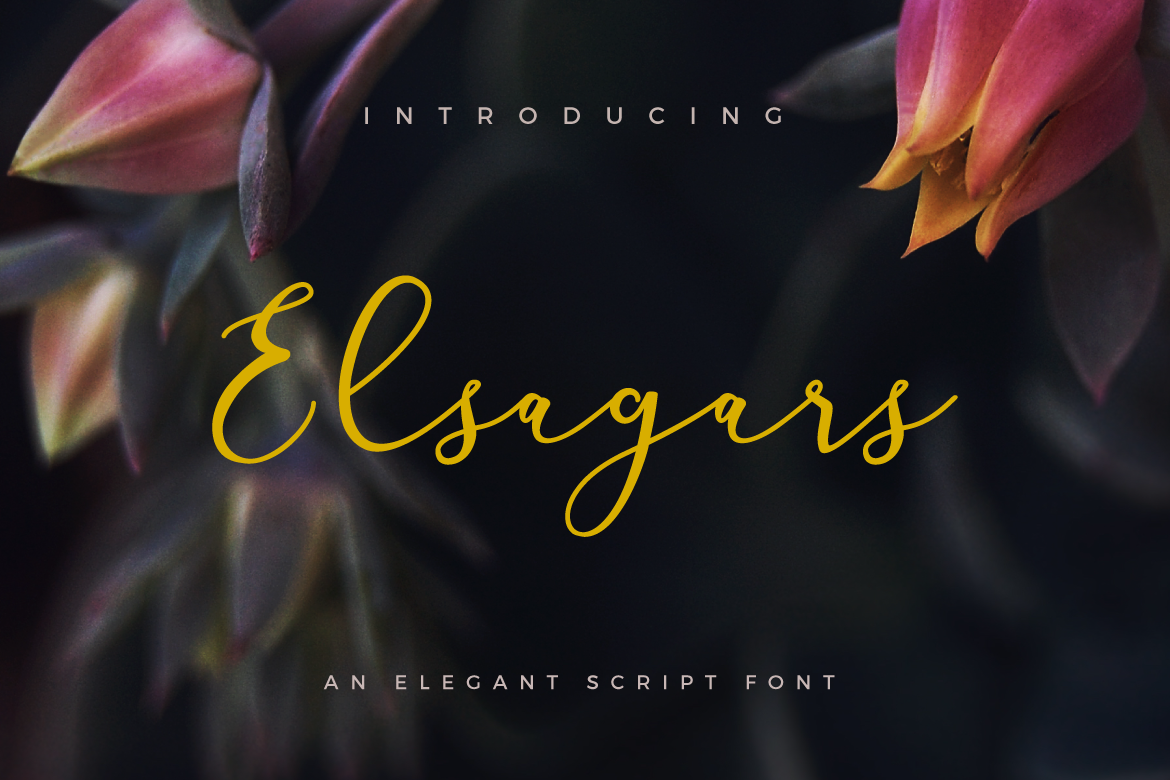 Elsagars example image 1