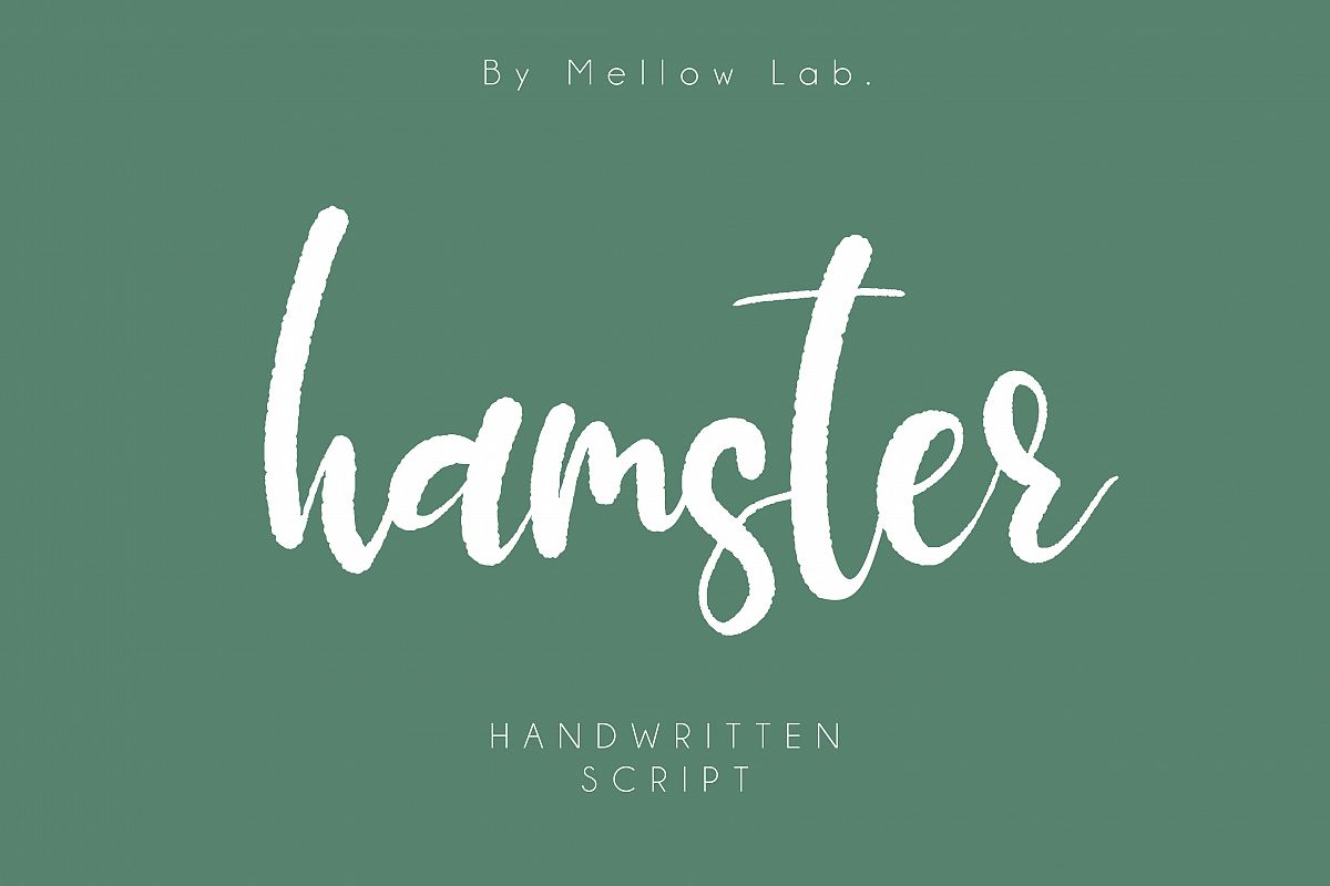 Hamster example image 1