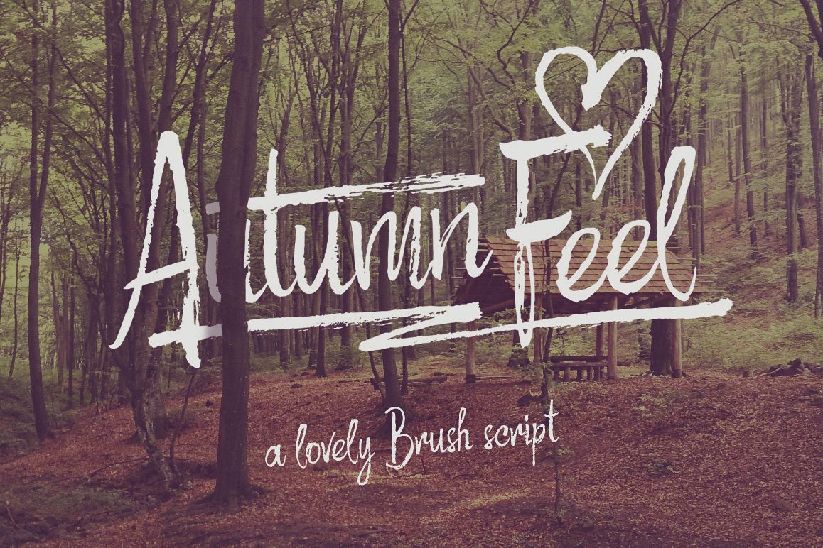 Autumn Feel font example image 1