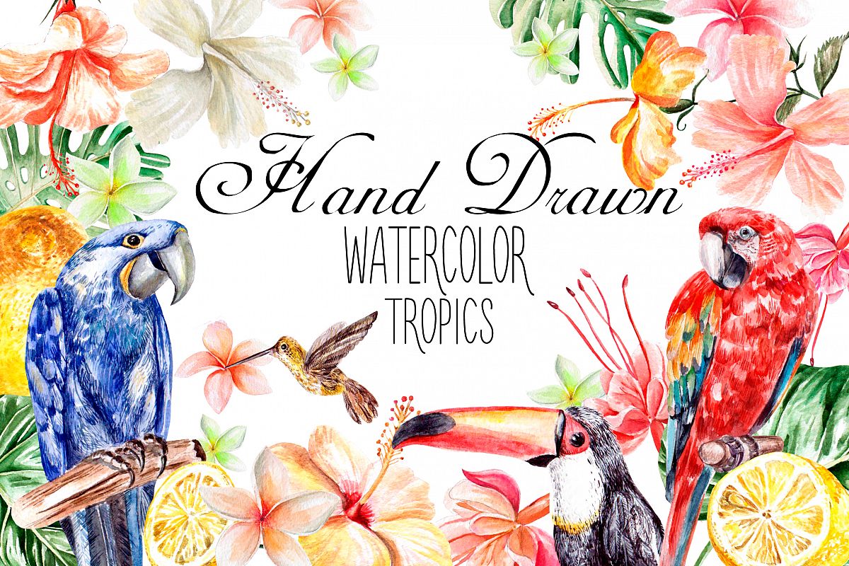 Hand Drawn watercolor TROPICS example image