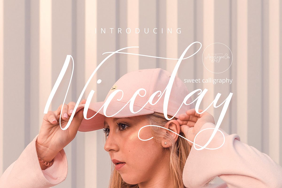 Niceday Script Font example image 1