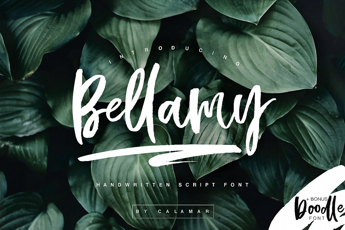 Bellamy Script example image 1