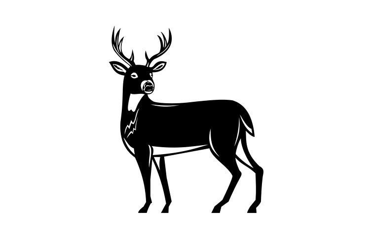 Whitetail Deer Side View Woodcut example image 1