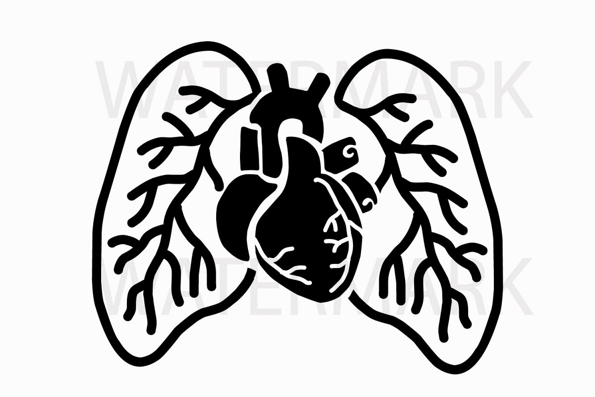 Human Lungs with Heart - SVG/JPG/PNG Hand Drawing (125570