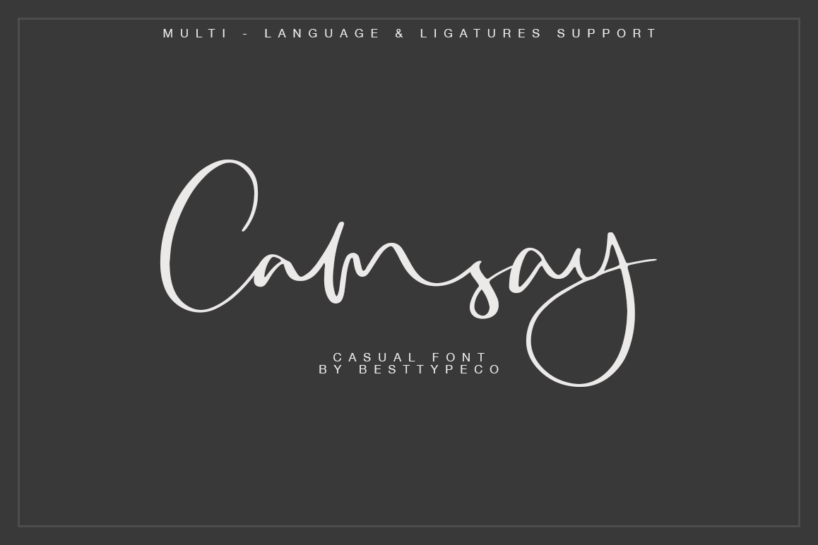 Camsay example image 1
