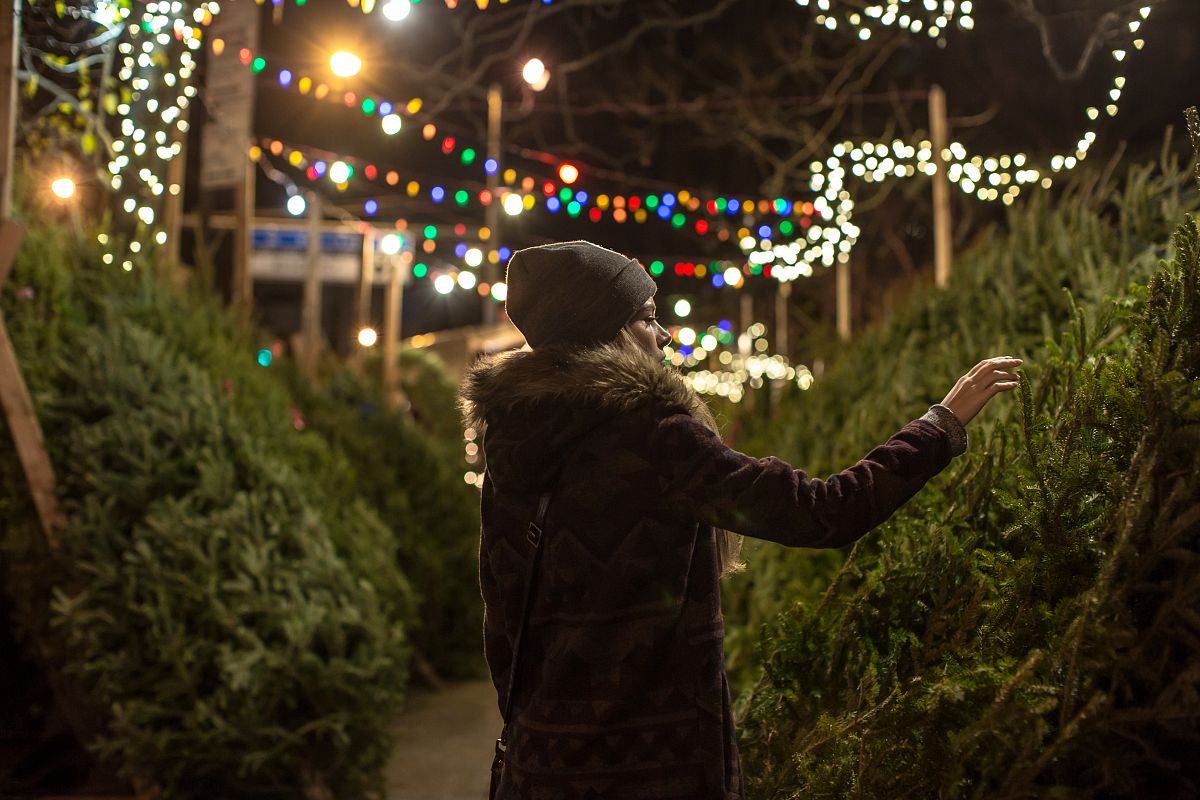 Girl picking christmas tree example image 1
