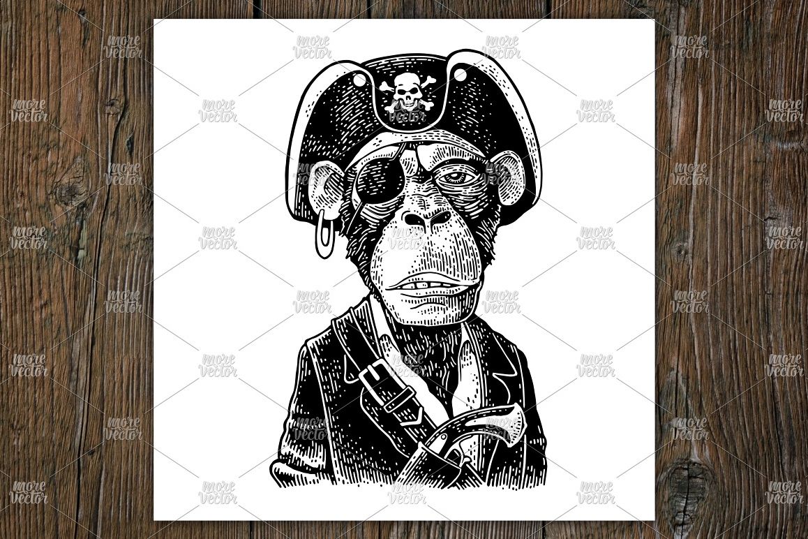 Monkey pirate with gun, cocked hat, suit. Vintage engraving example image 1