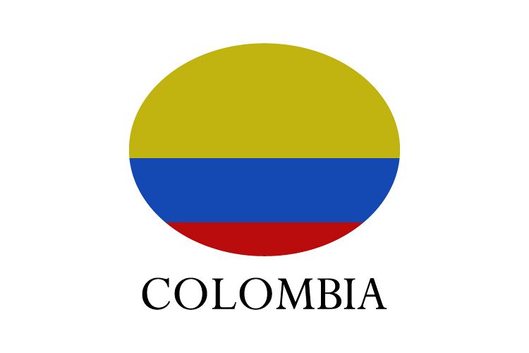 Colombian flag example image 1