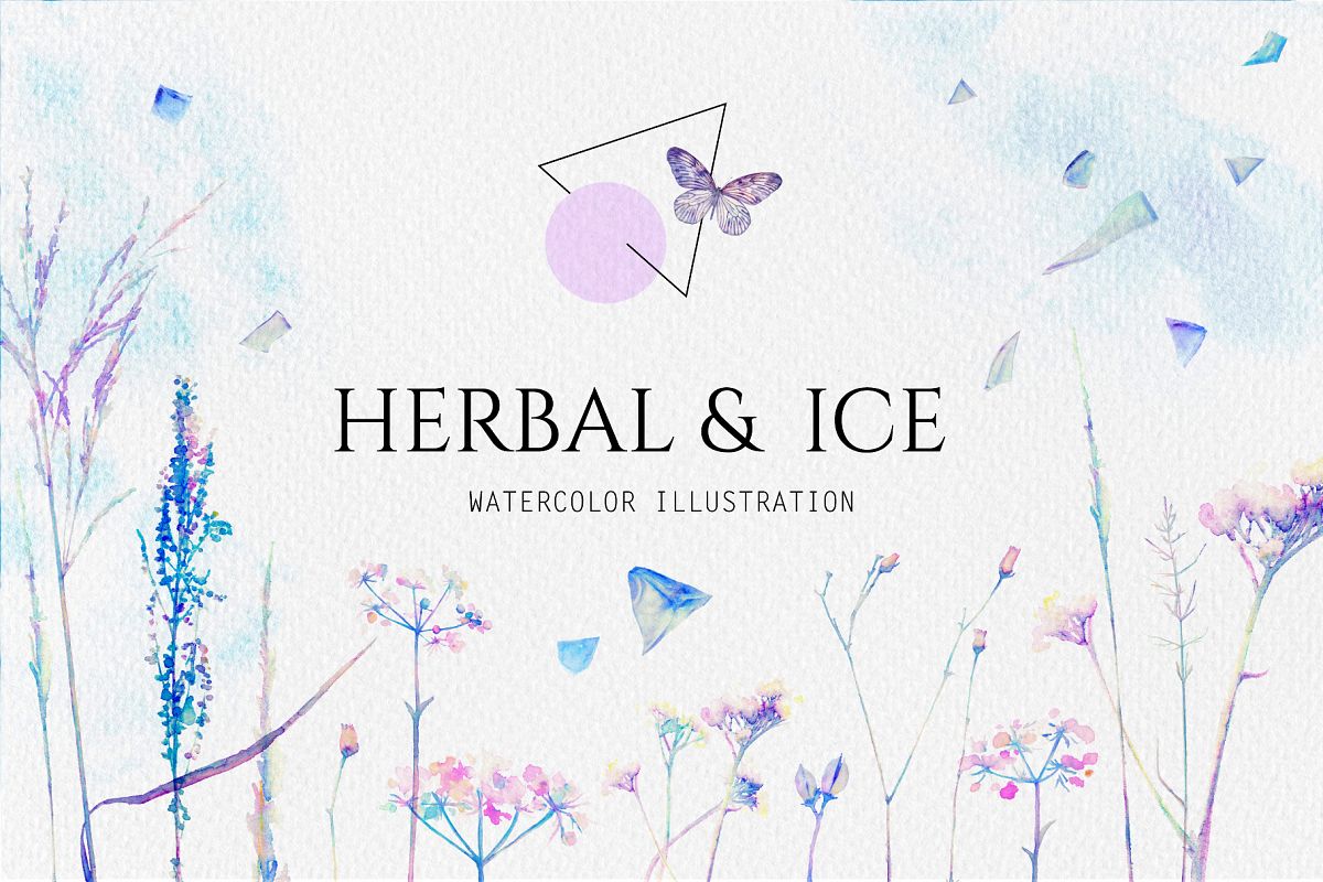 Watercolor floral design collection, herbal and ice example image 1