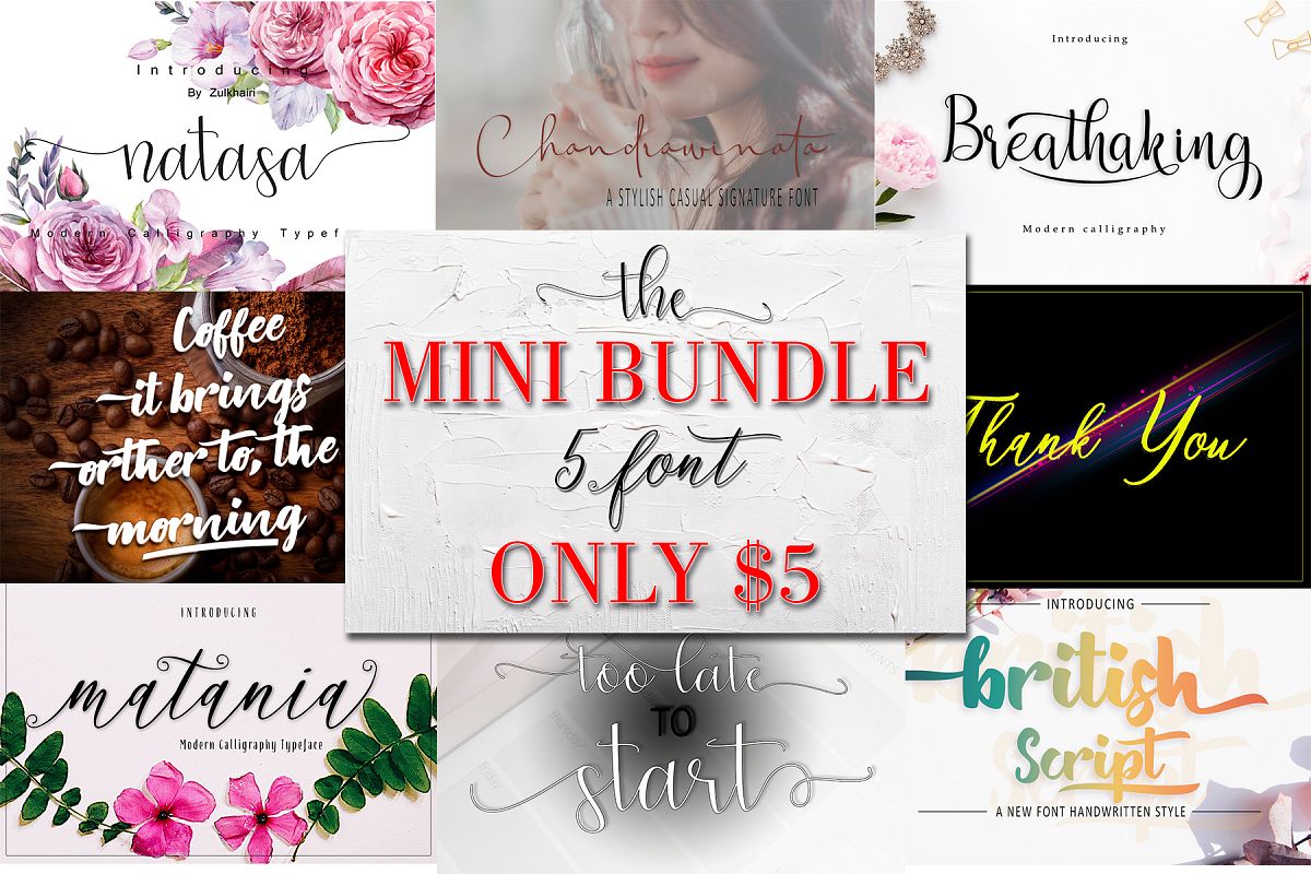 The Mini Bundle $1 /font example image 1