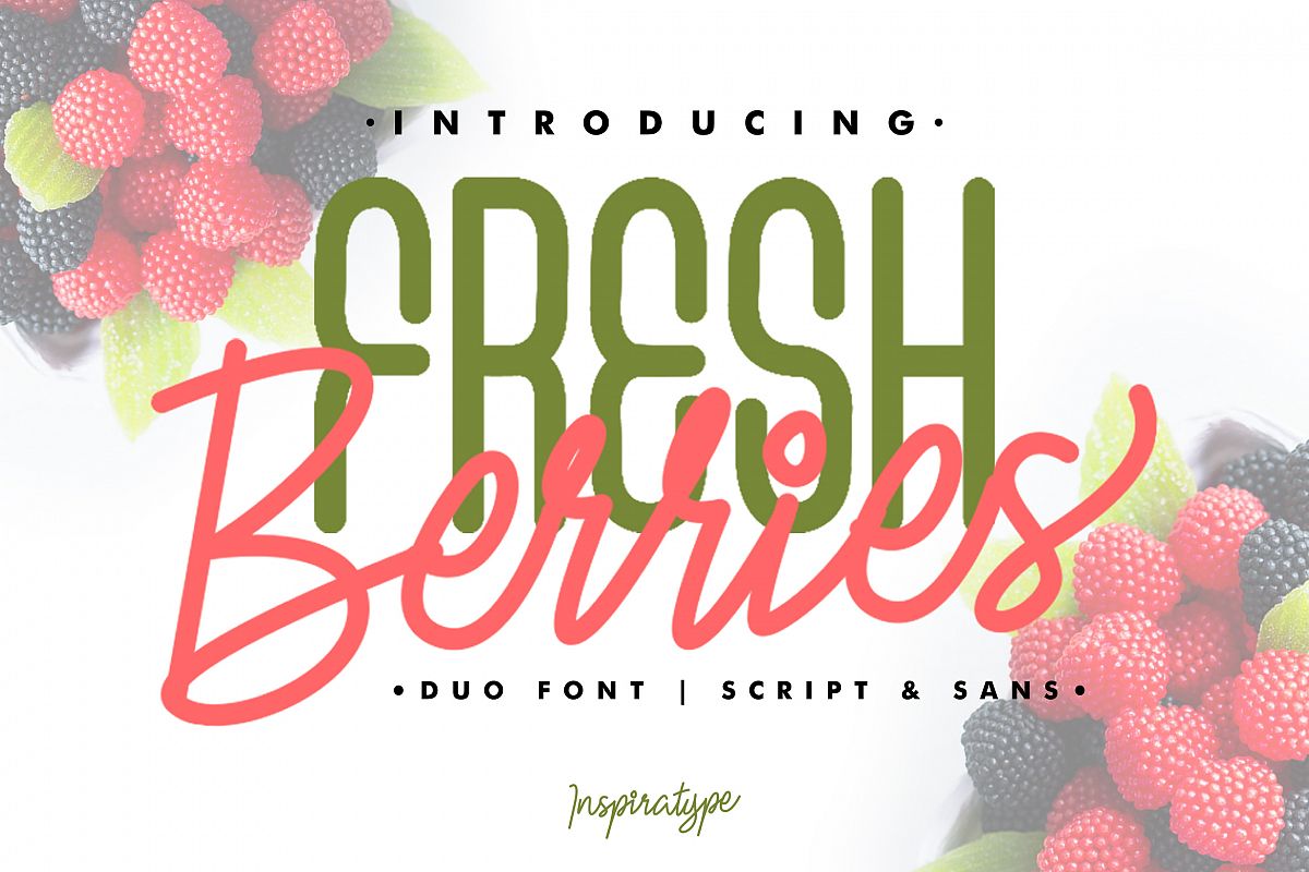 Fresh Berries - Script & Sans Font example image 1