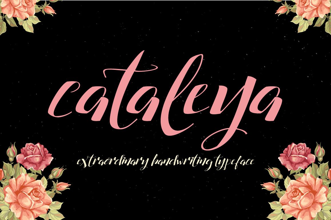 Cataleya Typeface (Full) example image 1