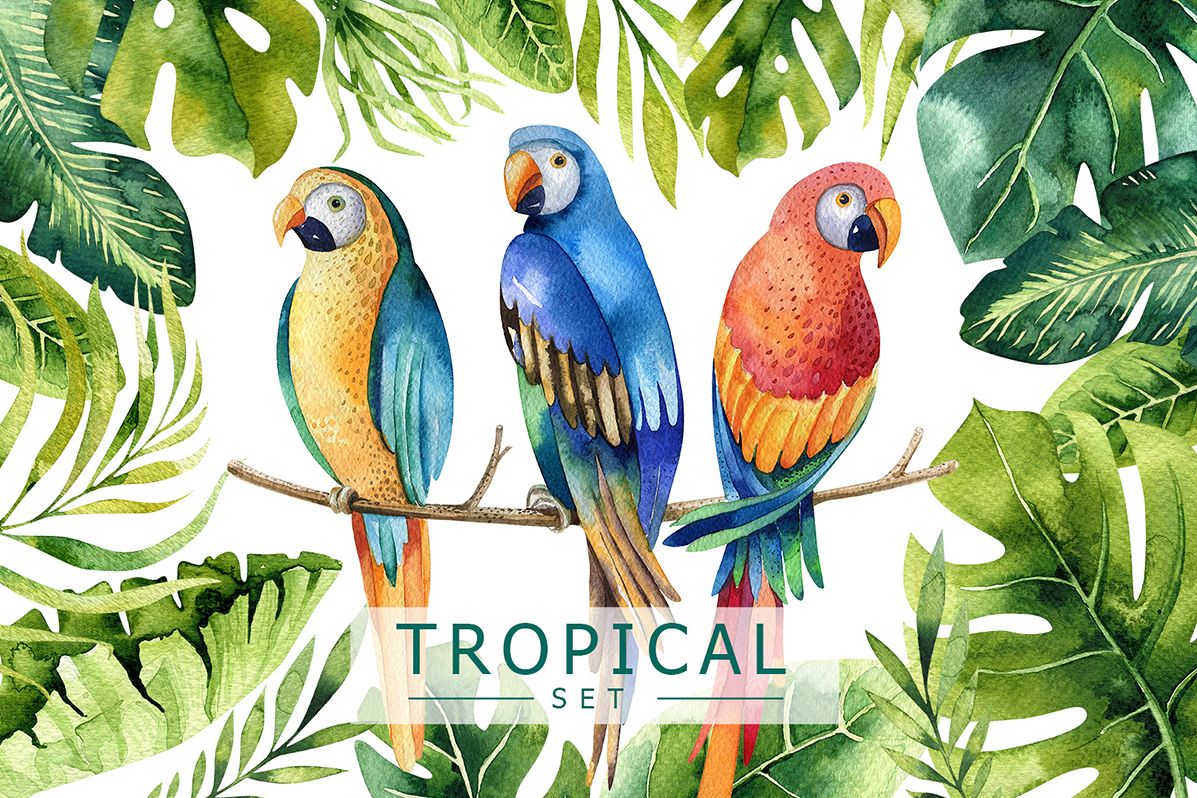Tropical set I example image 1