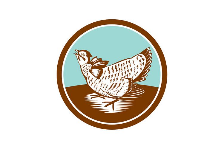 Prairie Chicken Retro Circle example image 1