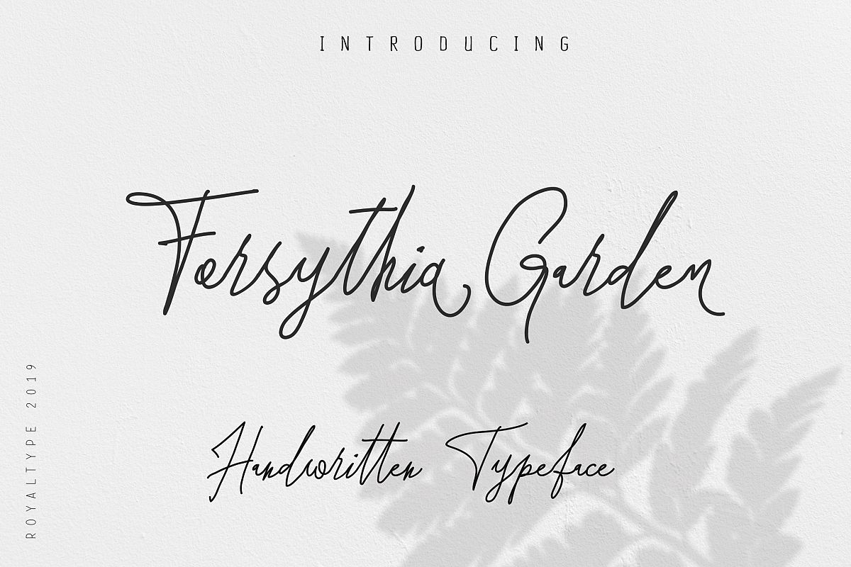 Forsythia Garden |Signature Typeface example image 1
